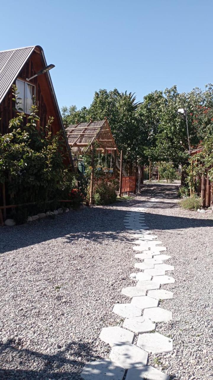 Hostal El Colibri Вікунья Екстер'єр фото